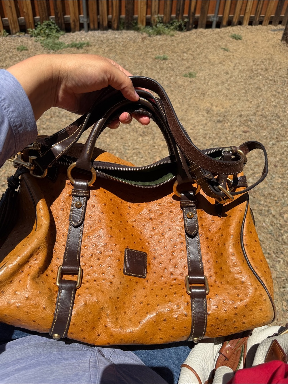 Dooney & Bourke Tan Ostrich-Embossed Satchel with Dark Brown Trim